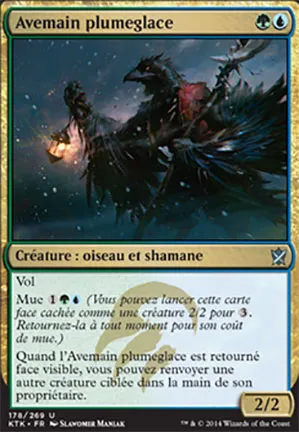 Avemain plumeglace