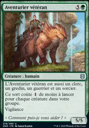 Aventurier vétéran