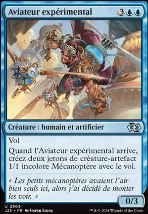 Aviateur expérimental