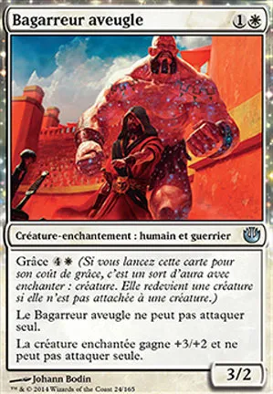 Bagarreur aveugle