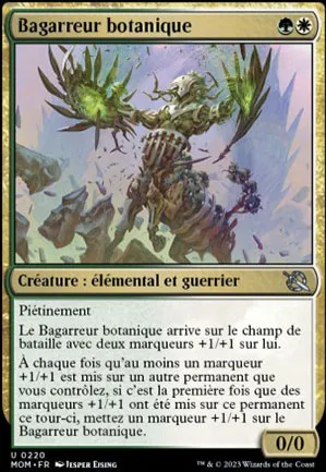 Bagarreur botanique