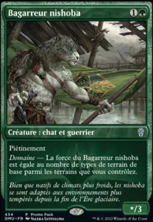 Bagarreur nishoba
