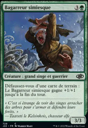 Bagarreur simiesque