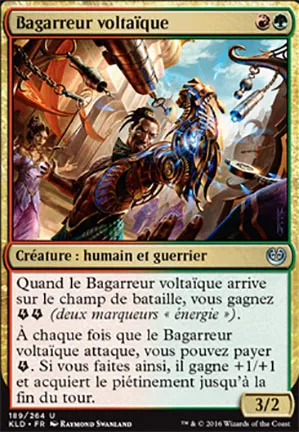 Bagarreur voltaïque