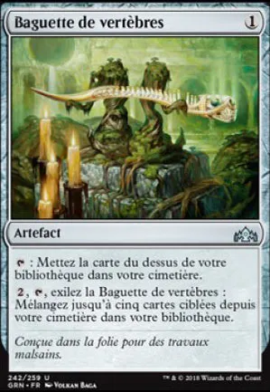 Baguette de vertèbres