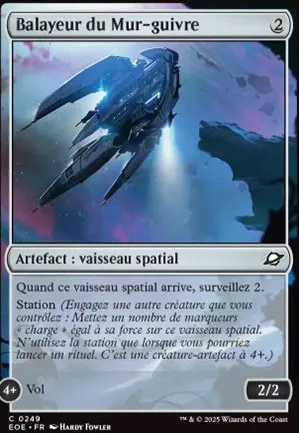 Balayeur du Mur-guivre