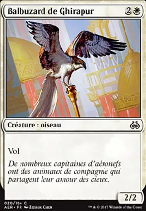 Balbuzard de Ghirapur
