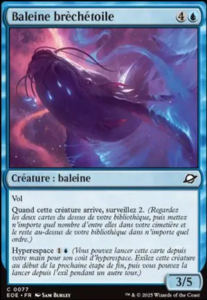 Baleine brèchétoile