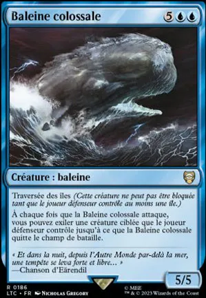 Baleine colossale