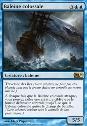 Baleine colossale