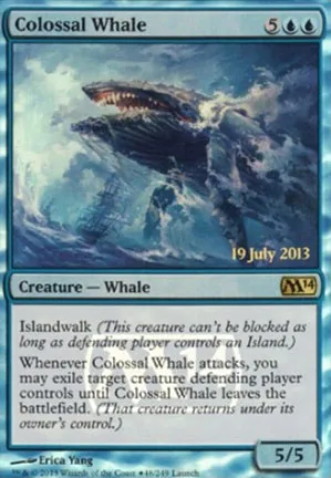 Baleine colossale