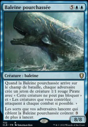 Baleine pourchassée