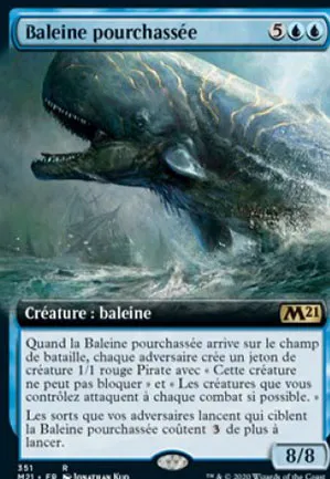 Baleine pourchassée