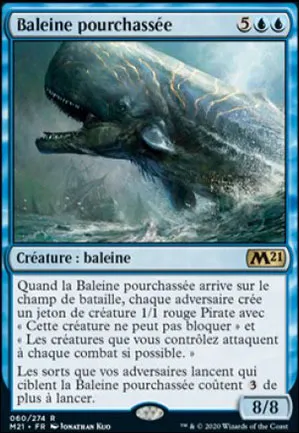 Baleine pourchassée