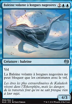 Baleine volante à longues nageoires