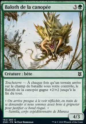 Baloth de la canopée