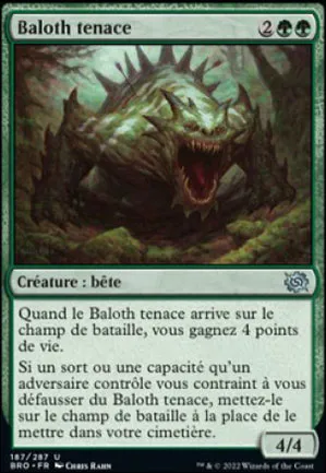 Baloth tenace