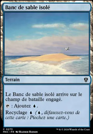 Banc de sable isolé