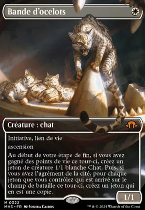 Bande d'ocelots