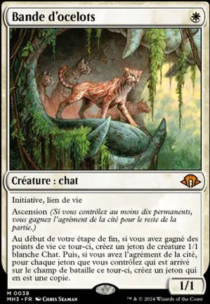 Bande d'ocelots