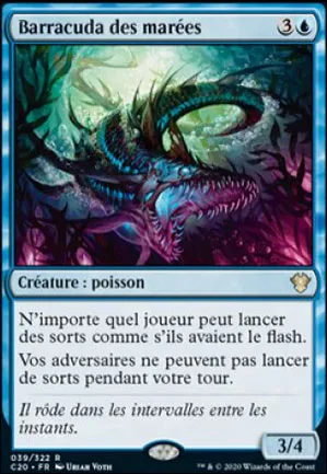 Barracuda des marées