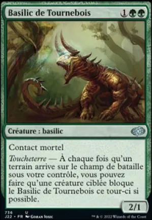 Basilic de Tournebois