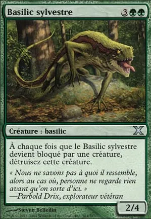 Basilic sylvestre