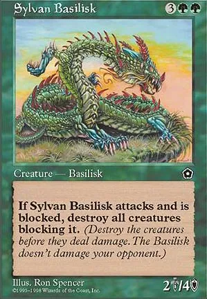 Basilic sylvestre