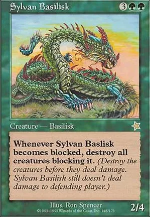 Basilic sylvestre