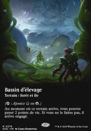 Bassin d'élevage