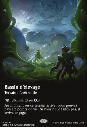 Bassin d'élevage