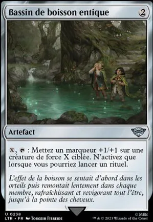 Bassin de boisson entique