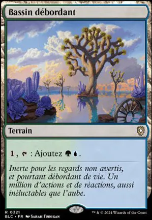 Bassin débordant