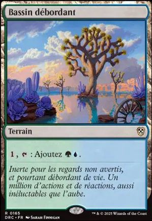 Bassin débordant