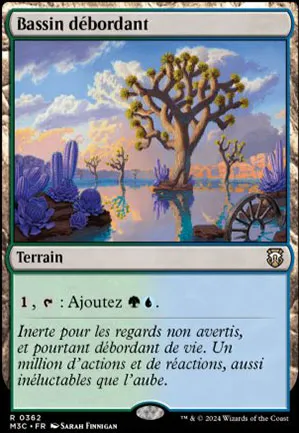 Bassin débordant