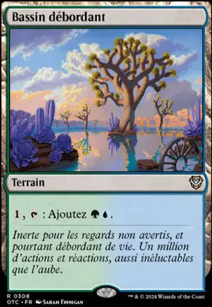 Bassin débordant