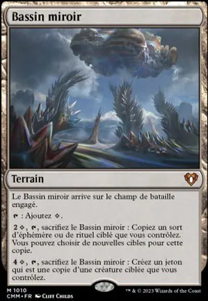 Bassin miroir