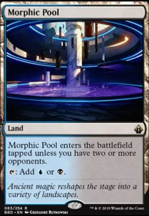 Bassin morphique