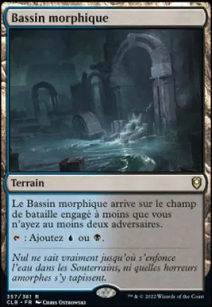 Bassin morphique