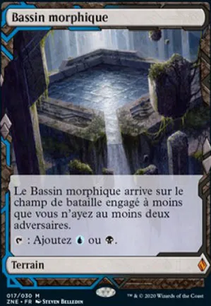 Bassin morphique
