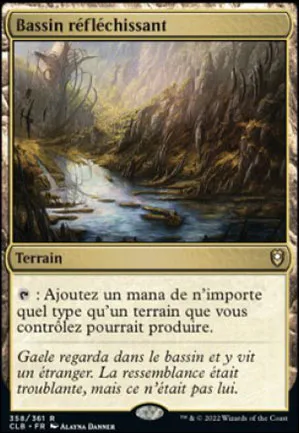 Bassin réfléchissant