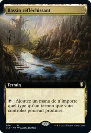 Bassin réfléchissant