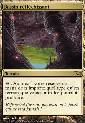 Bassin réfléchissant