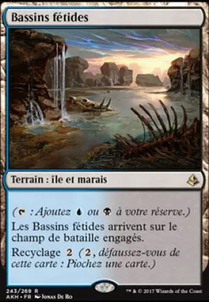Bassins fétides