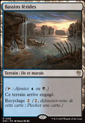 Bassins fétides