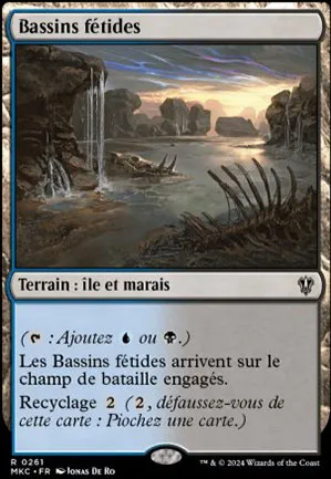 Bassins fétides