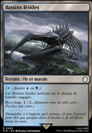 Bassins fétides