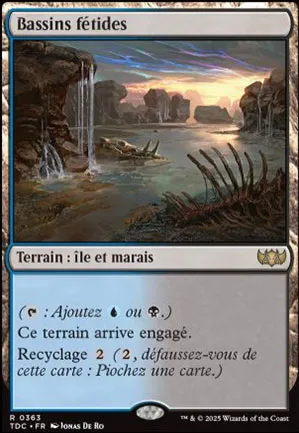 Bassins fétides