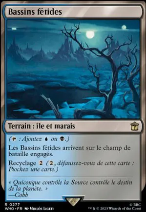 Bassins fétides