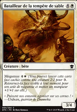 Batailleur de la tempête de sable